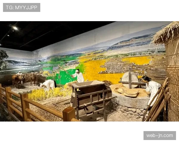 评论:赛事安全与历史传承的平衡——石板路维护的永恒议题 评论:赛事安全与历史传承的平衡——石板路维护的永恒议题